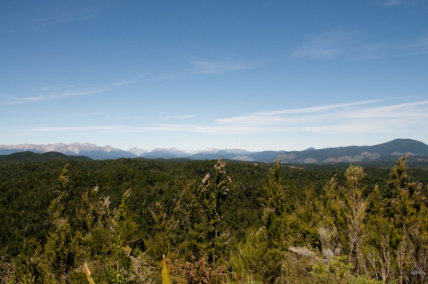 New Zealand 09 10  160